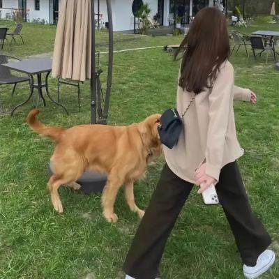 迷离凶手